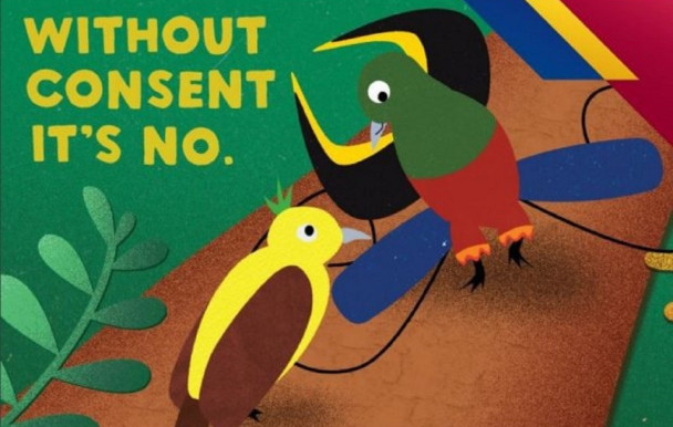 Des oiseaux tropicaux pour faire campagne contre les violences sexuelles