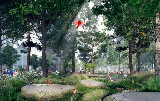 Montréal dévoile les plans de l’avenue McGill College, future forêt urbaine