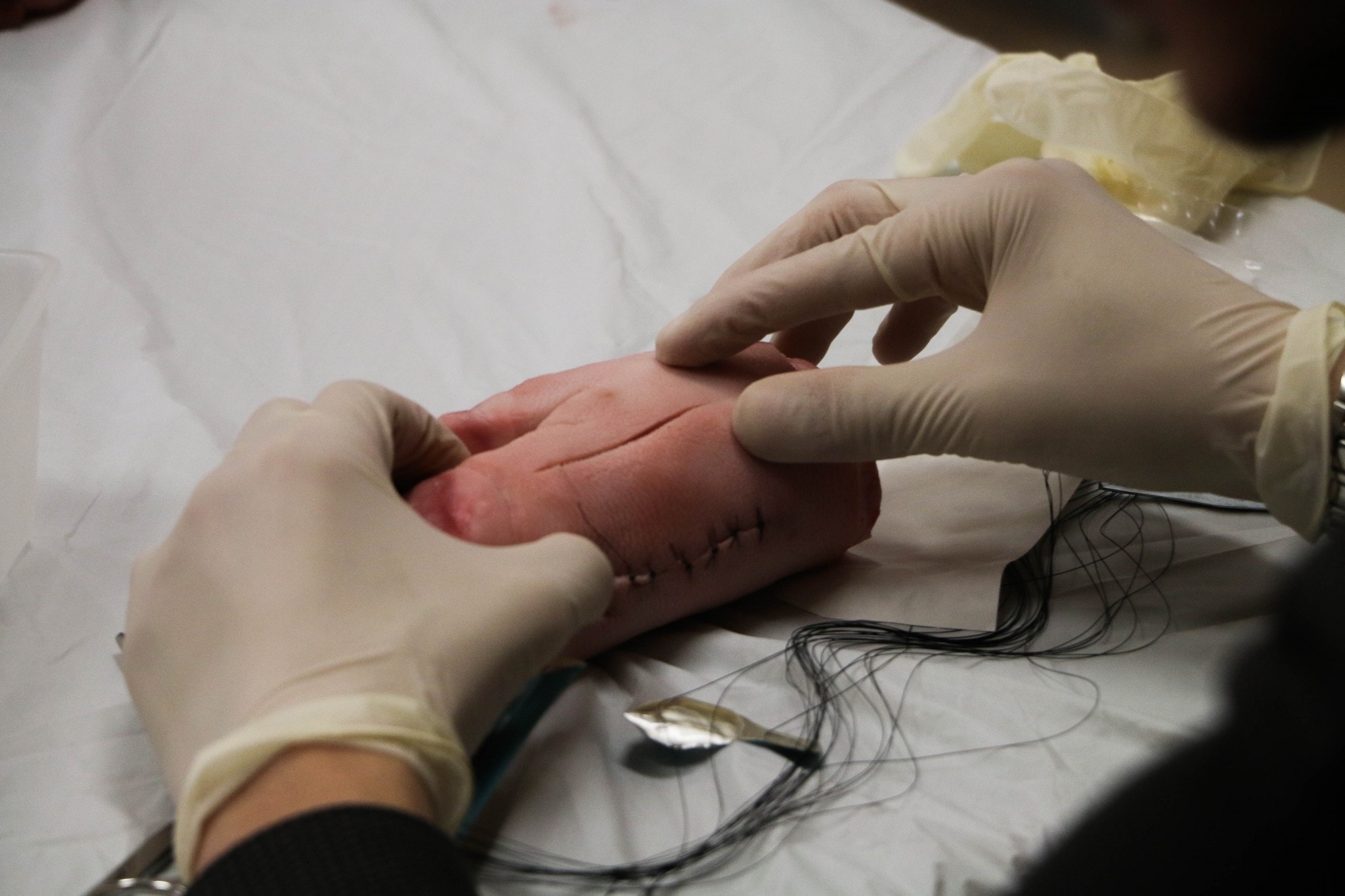 La pratique de points de suture sur un pied de cochon faisait partie des ateliers offerts durant le symposium. Crédit photo : Mathieu Gauvin.