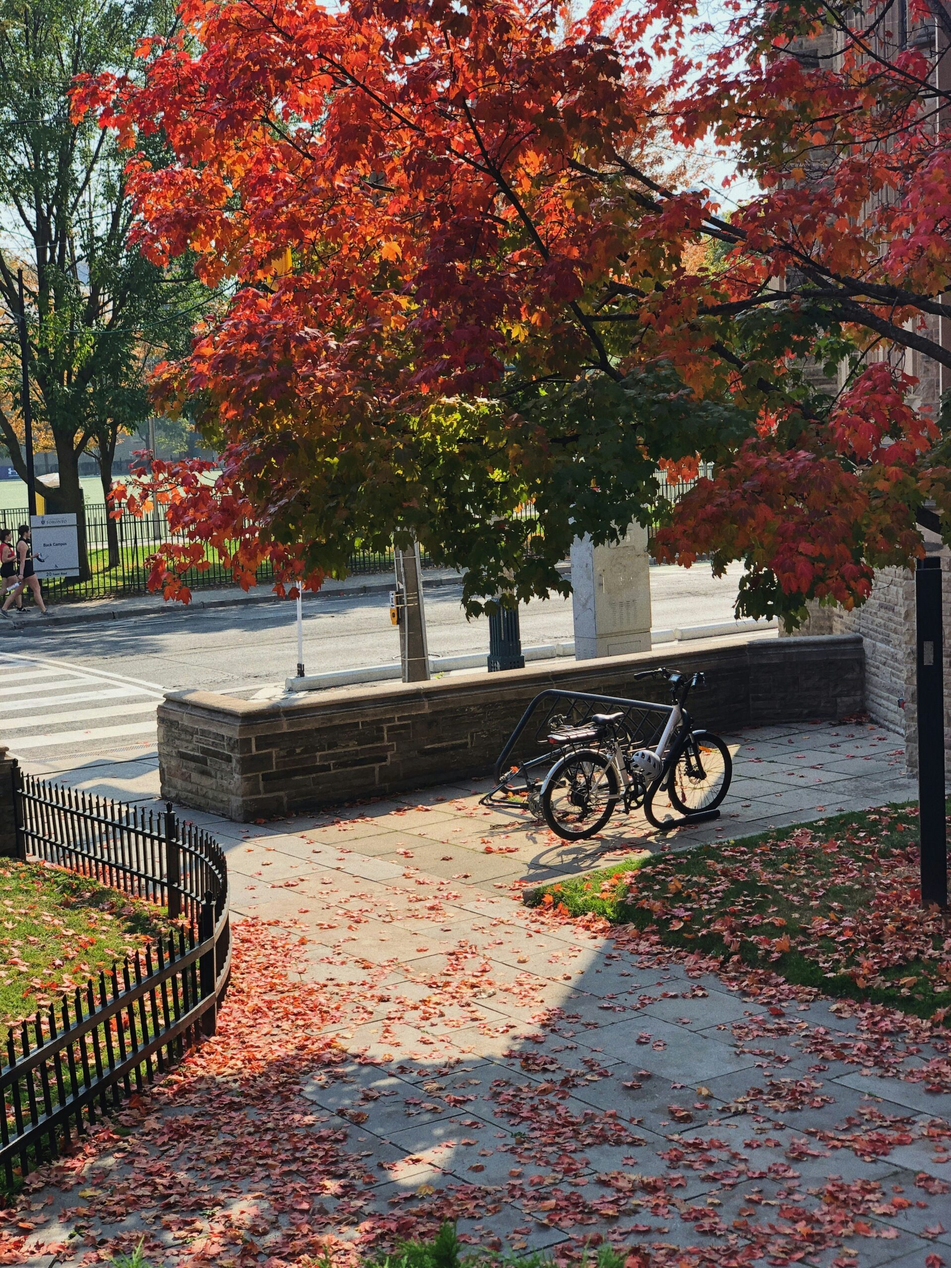 Mon campus à vélo