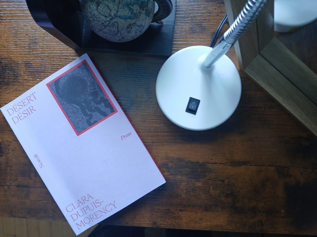 Désert Désir ou le soi en mouvance constante